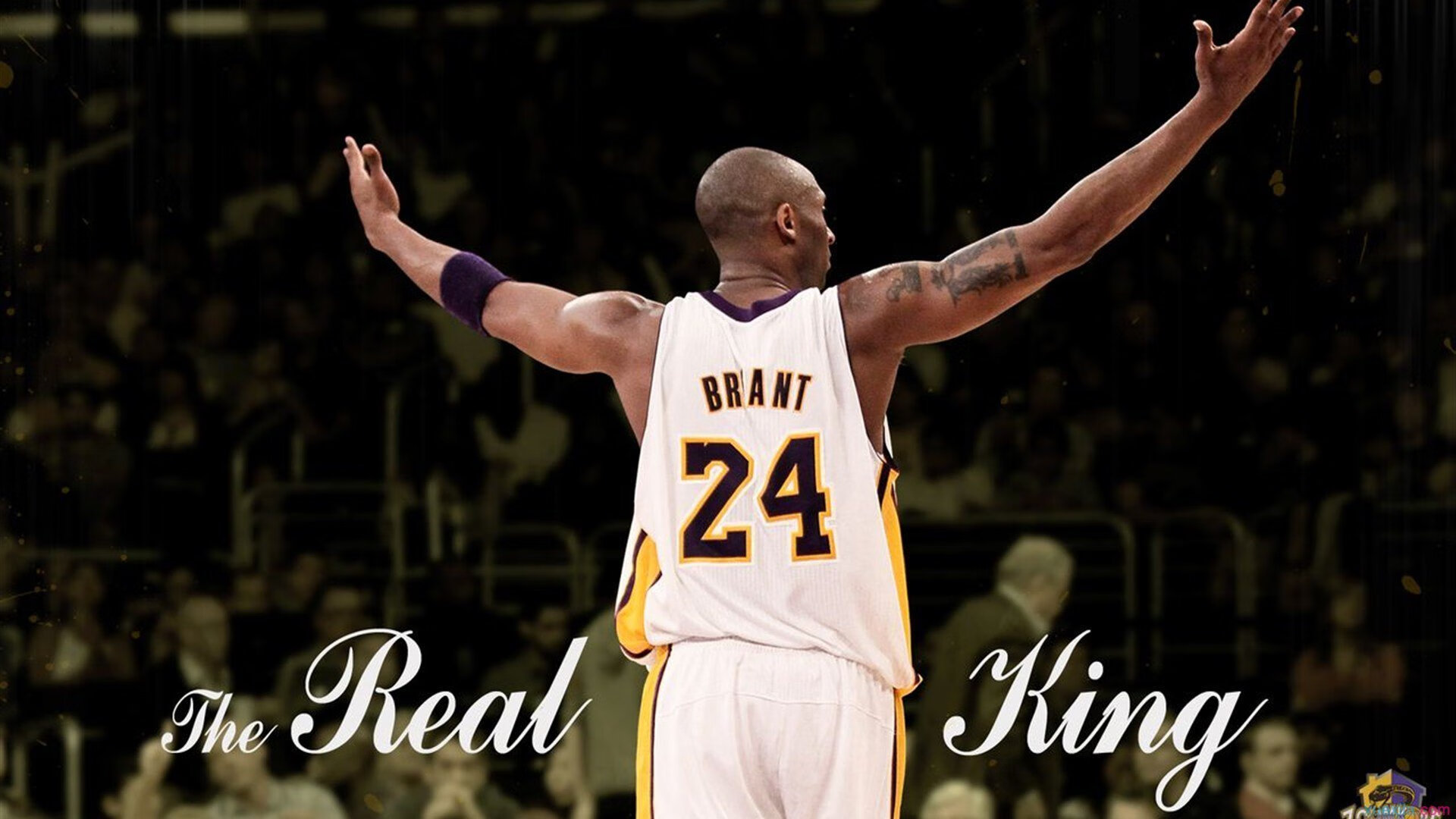 开云体育-公牛完胜黄蜂，保罗展现巨星价值，当经验成为最锋利的剑